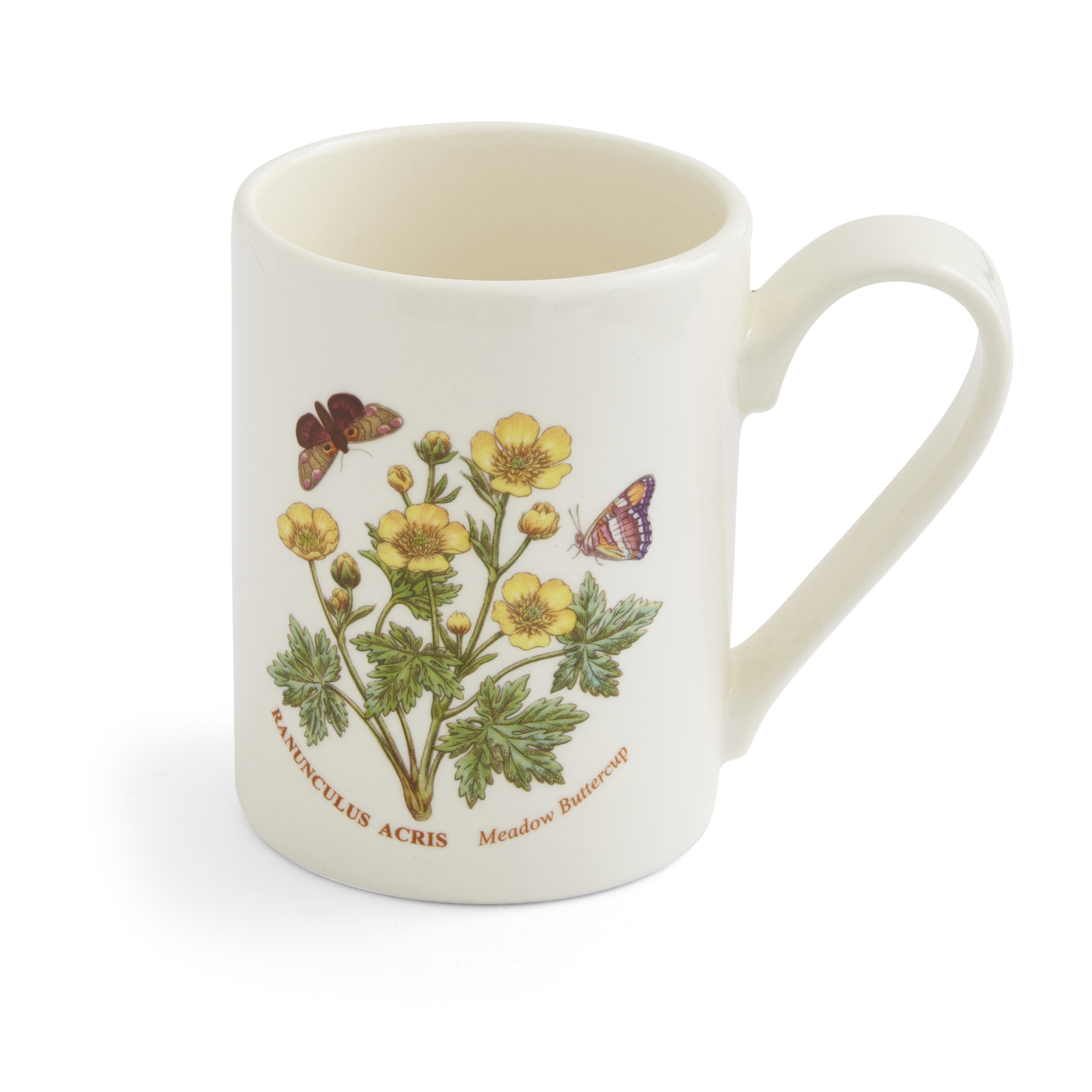 https://www.spode.com/on/demandware.static/-/Sites-portusa/default/dw57d48de2/b/Botanic%20Garden/Botanicgarden_buttercup_Mug_1.jpg